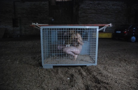 Busty female slave is affixed naked to tree in winter and pallet indoors