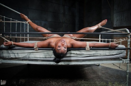 Busty black girl Lisa Tiffian endures breast bondage while being used sexually